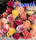 Two dozen roses for second month-a-versary