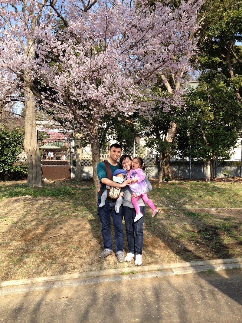 Spring Cherry Blossom Adventure in Japan: Tokyo & Yokohama (March 21 – April 1, 2014)