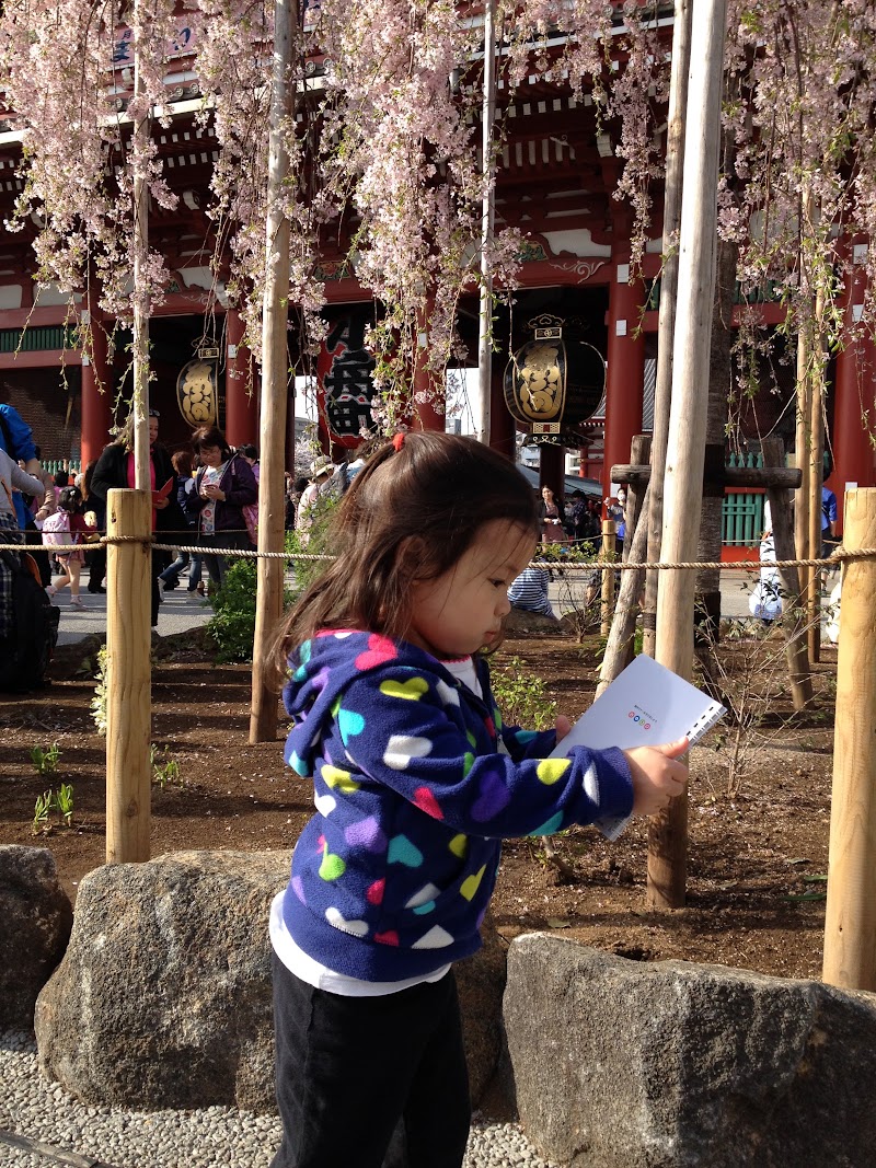 Spring Cherry Blossom Adventure in Japan: Tokyo & Yokohama (March 21 – April 1, 2014)