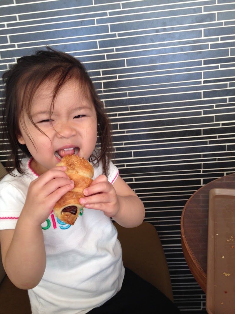 Spring Cherry Blossom Adventure in Japan: Tokyo & Yokohama (March 21 – April 1, 2014)