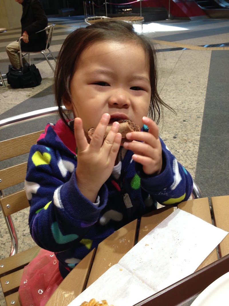 Spring Cherry Blossom Adventure in Japan: Tokyo & Yokohama (March 21 – April 1, 2014)