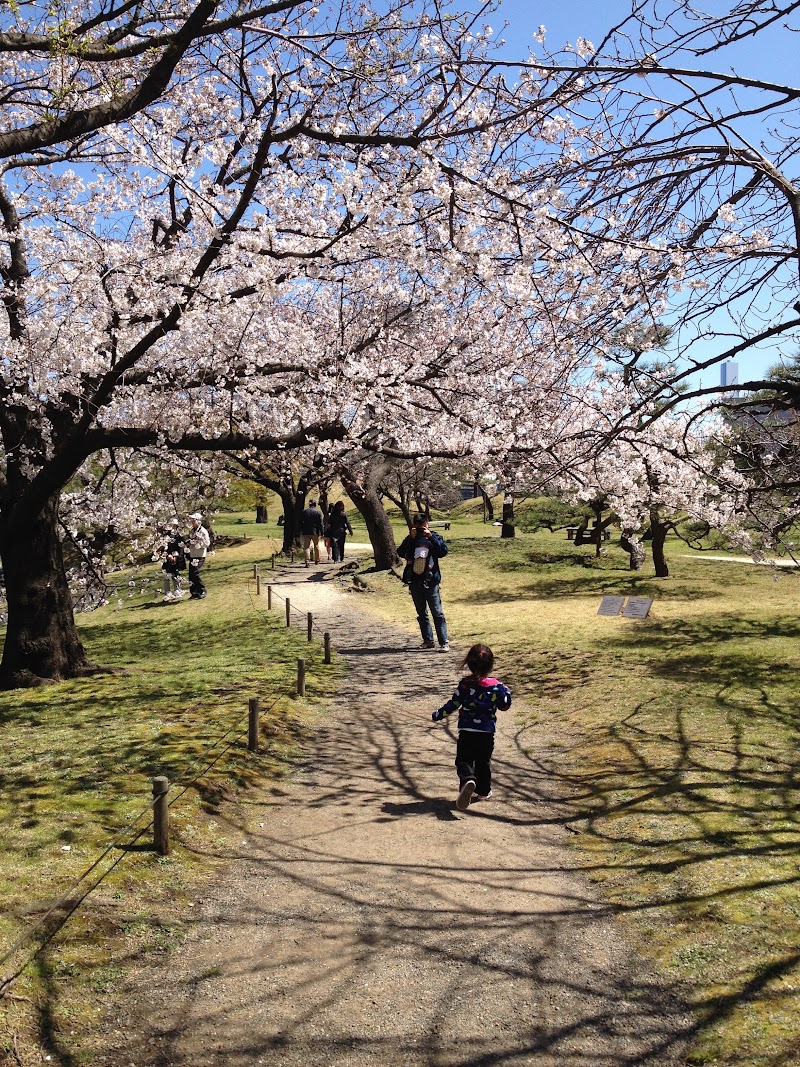Spring Cherry Blossom Adventure in Japan: Tokyo & Yokohama (March 21 – April 1, 2014)