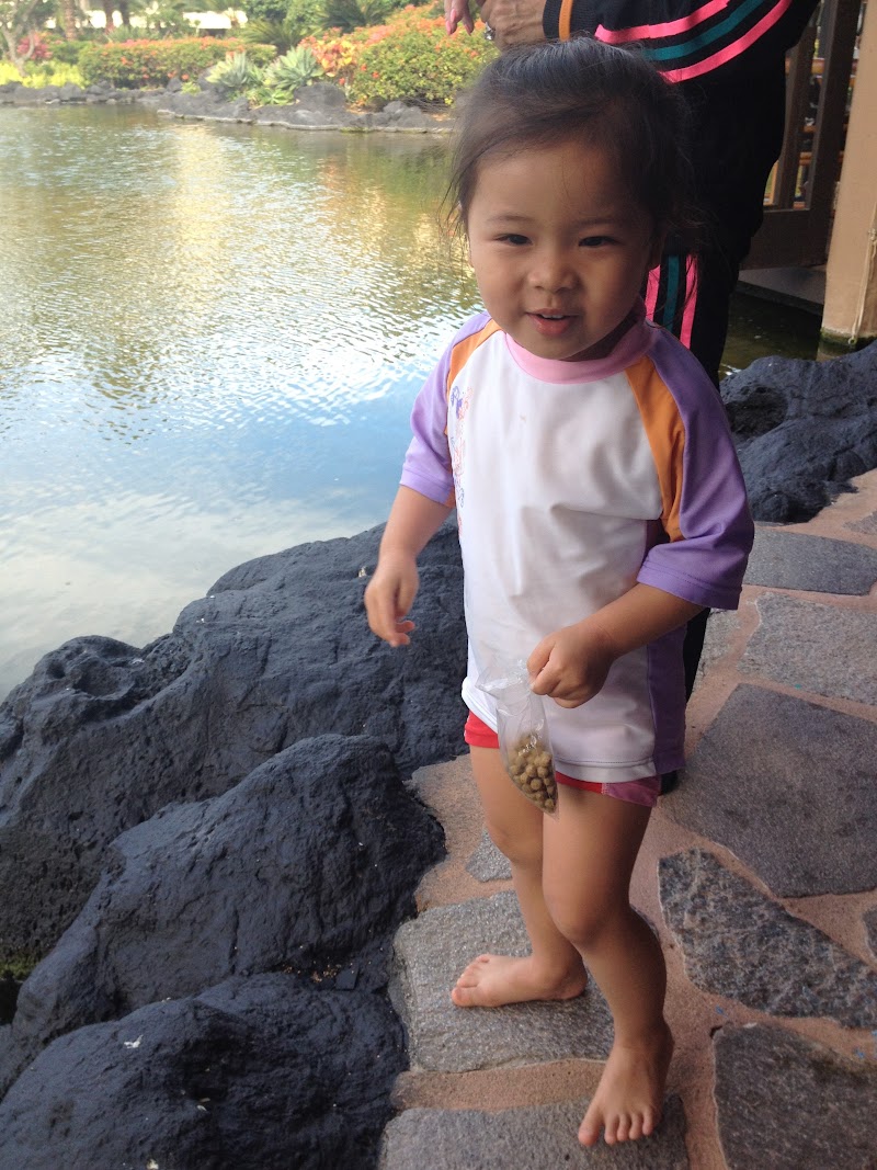 Island Spring Retreat at Grand Hyatt Kauai (April 6 – 14, 2014)