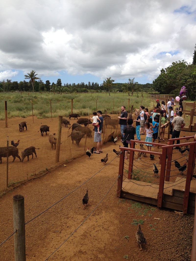 Island Spring Retreat at Grand Hyatt Kauai (April 6 – 14, 2014)