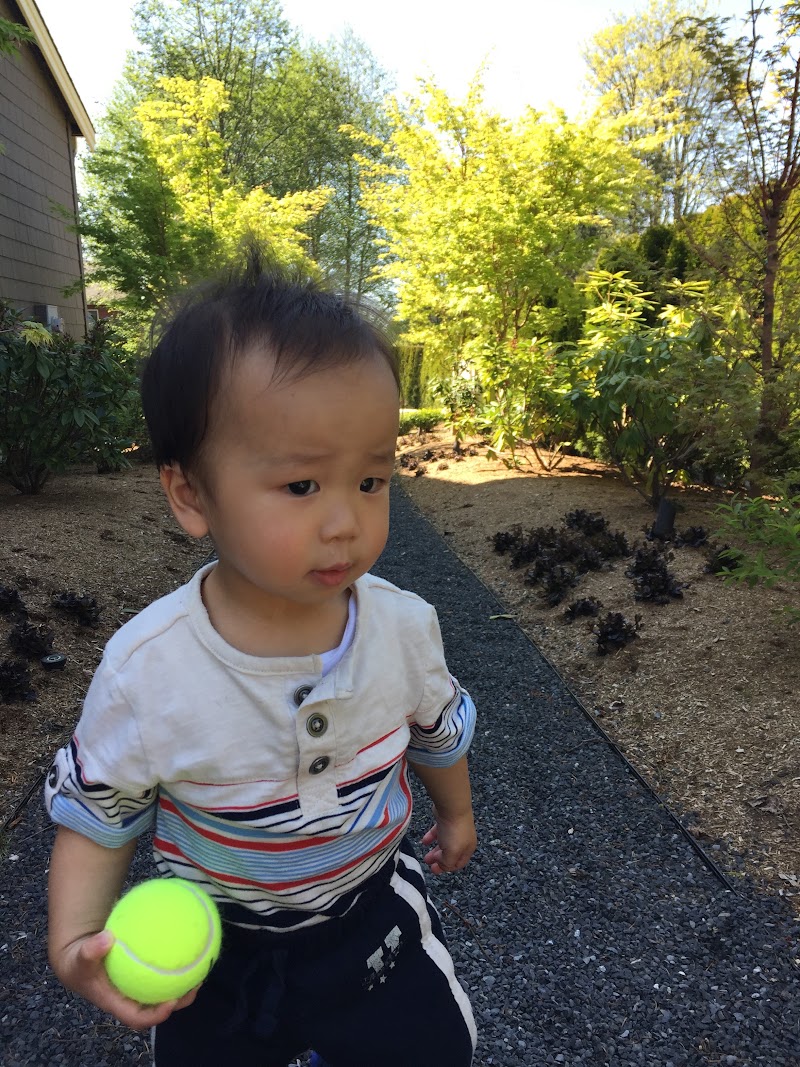 First Home Purchase in Bellevue: Cougar Mountain (April 15, 2015)