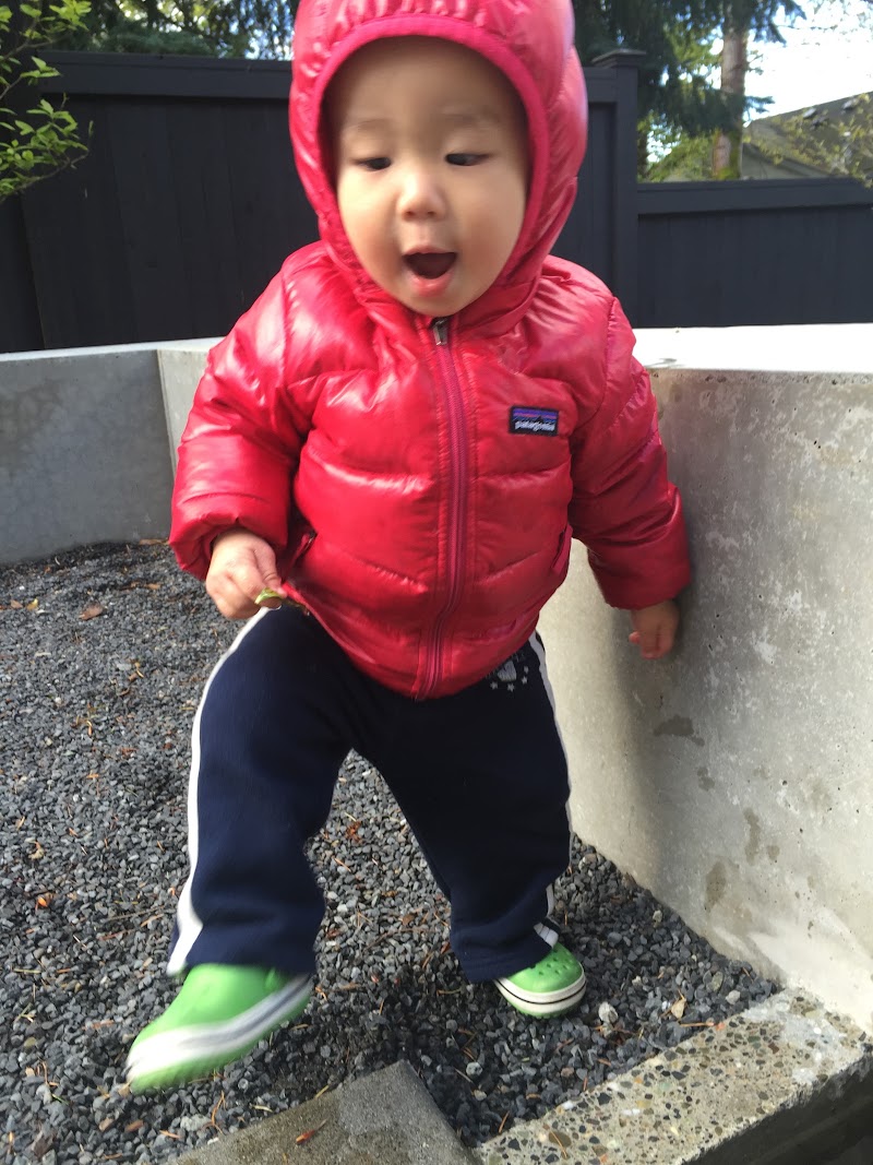 First Home Purchase in Bellevue: Cougar Mountain (April 15, 2015)