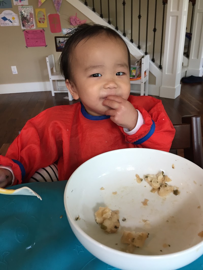 First Home Purchase in Bellevue: Cougar Mountain (April 15, 2015)