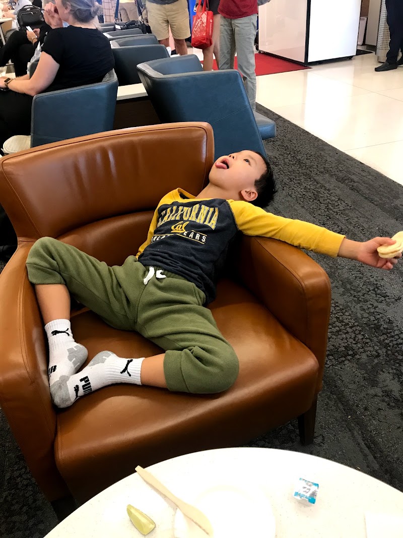 Summer Month Abroad in Copenhagen (June 17 – July 17, 2019)