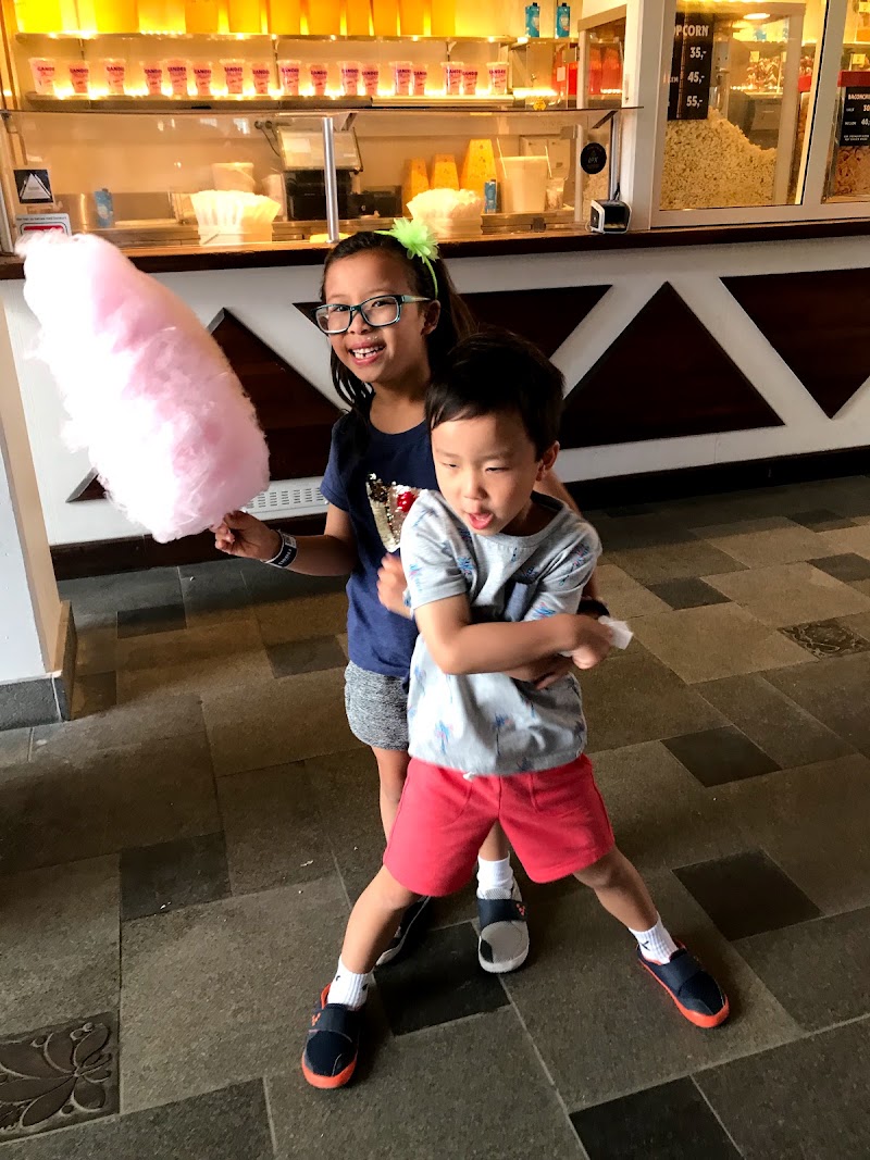 Summer Month Abroad in Copenhagen (June 17 – July 17, 2019)