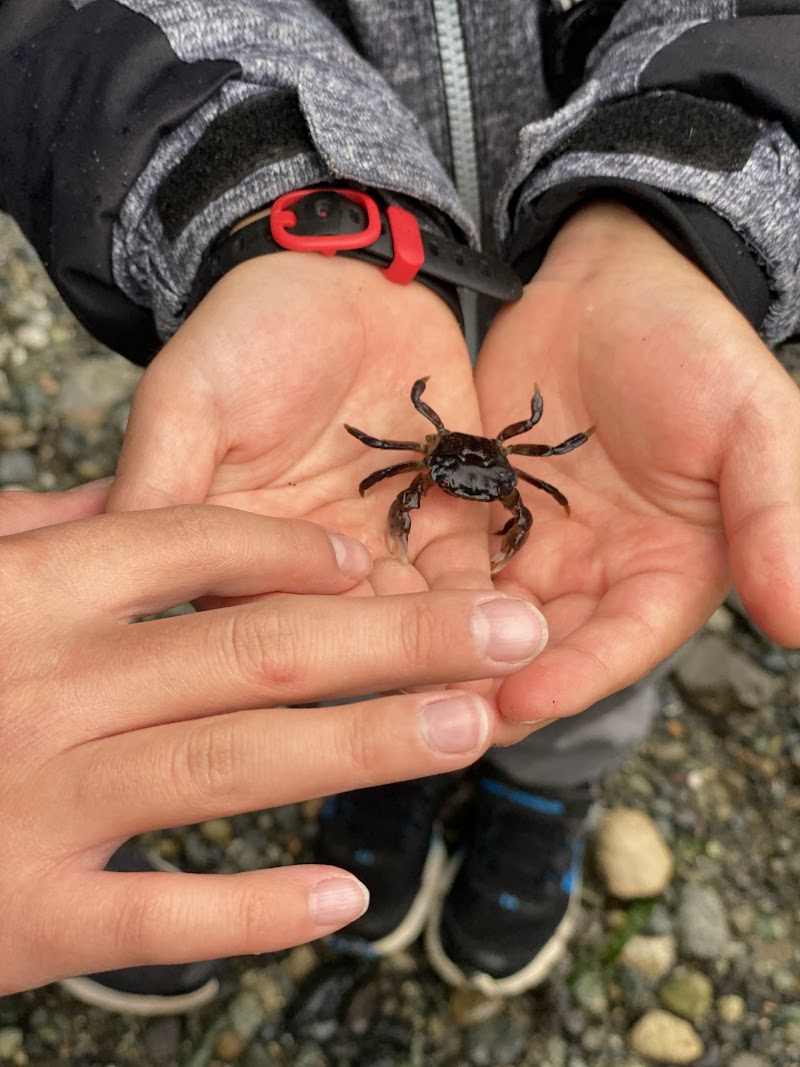 San Juan Islands Retreat: Lopez Island (October 8 – 11, 2021)